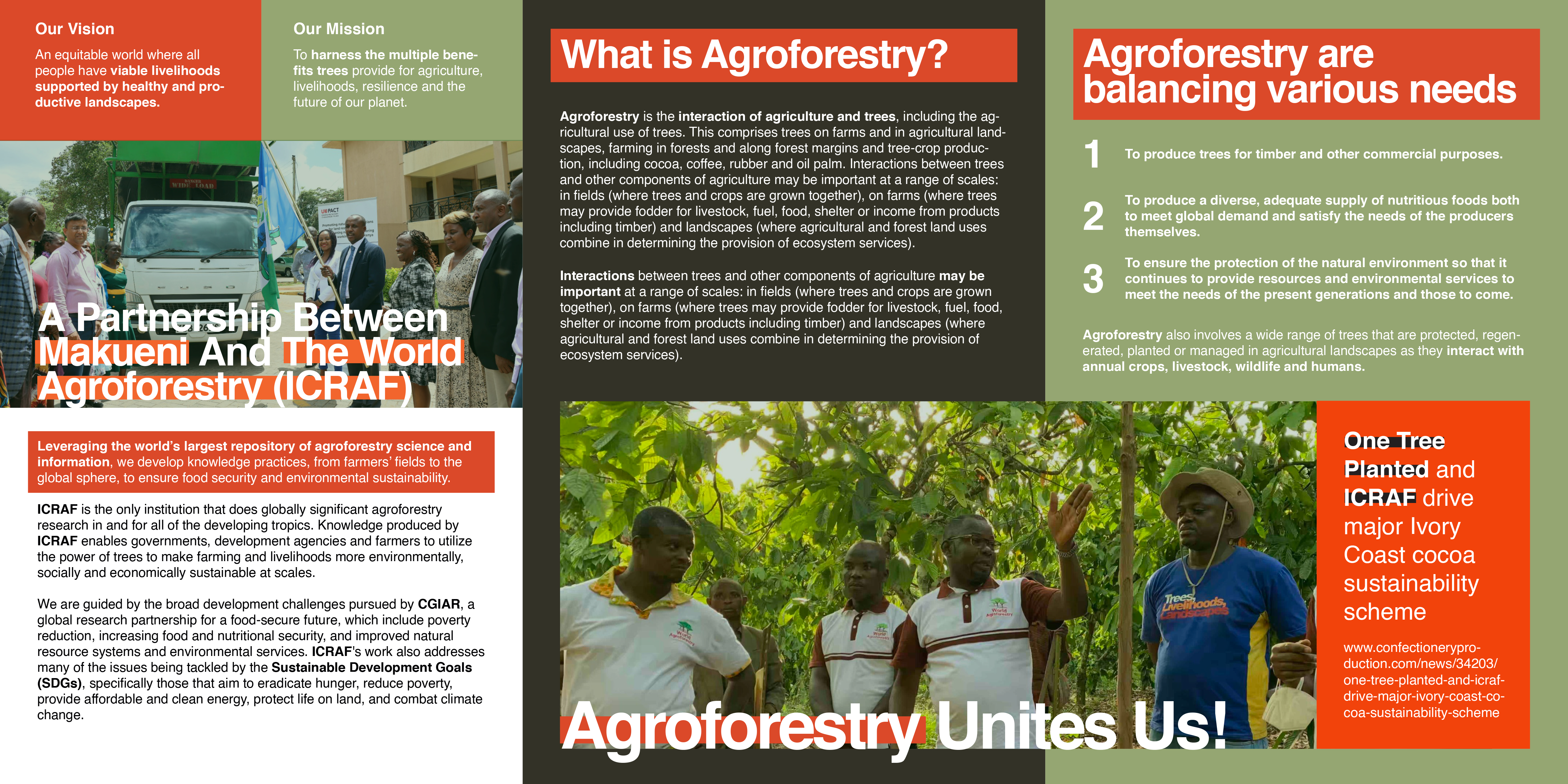 Brochure Project 2
