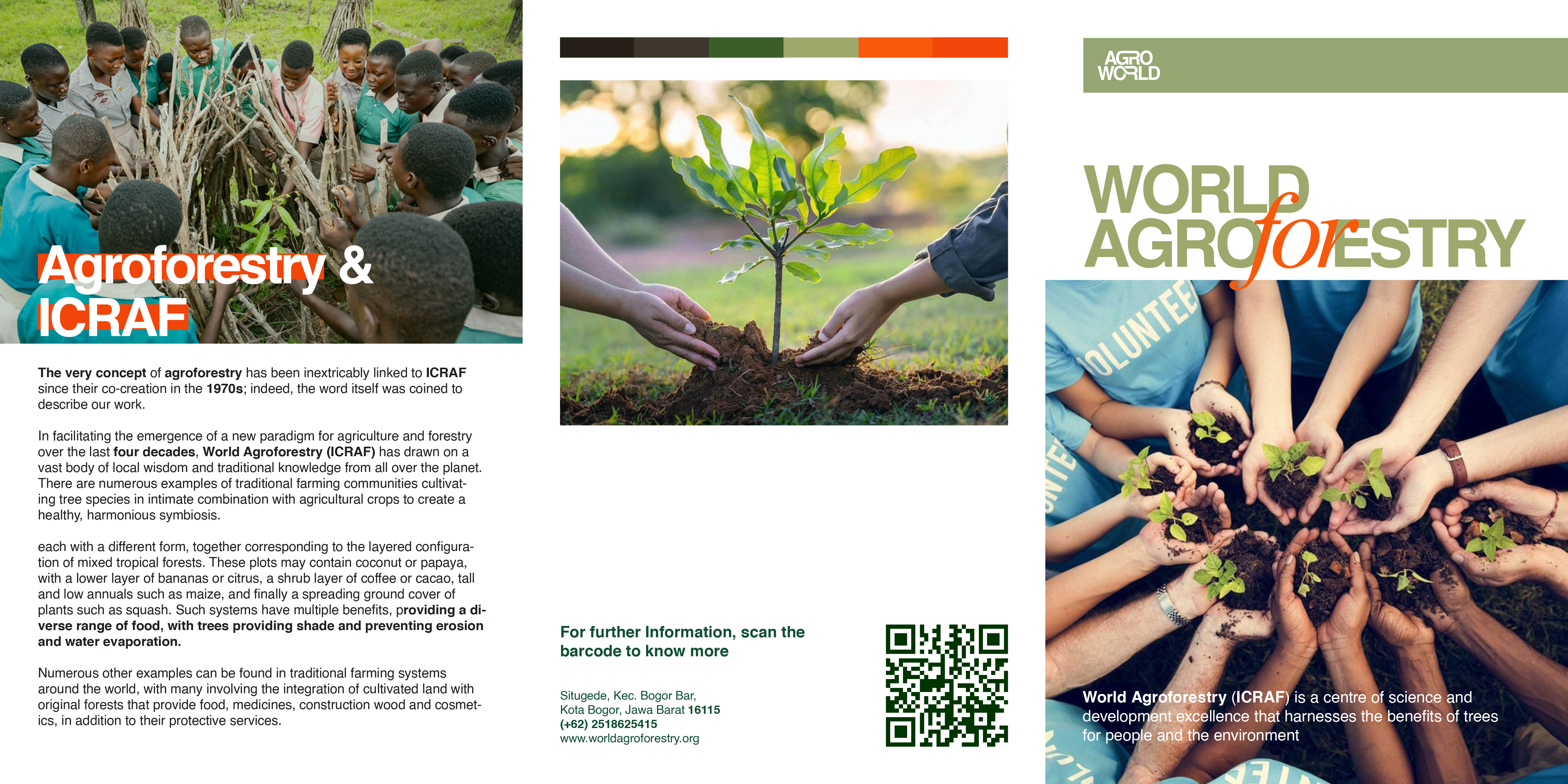 Brochure Project 1